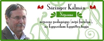 saringer kalman 02